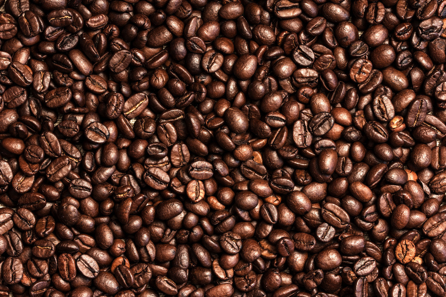 10 great coffee facts that we absolutely love!