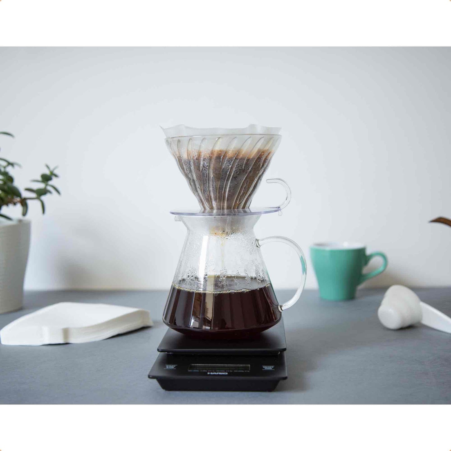 Simply Hario V60 Glass Starter 02 Pour Over Brewing Kit - 4 Cup