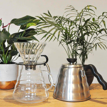 Hario V60 Glass Coffee Dripper 02 - Various Colours Available - 4 Cup