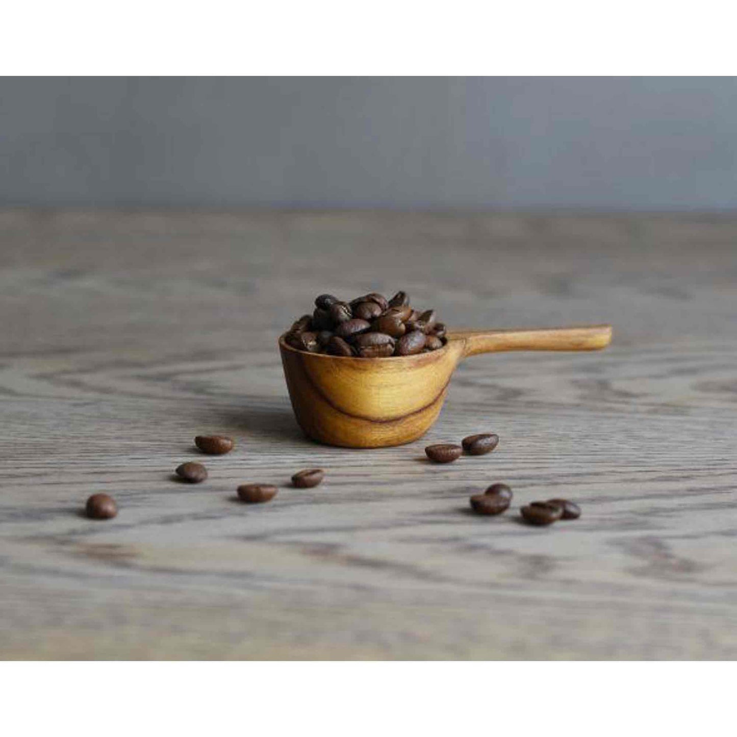 Kinto SCS 10 Gram Coffee Measuring Spoon