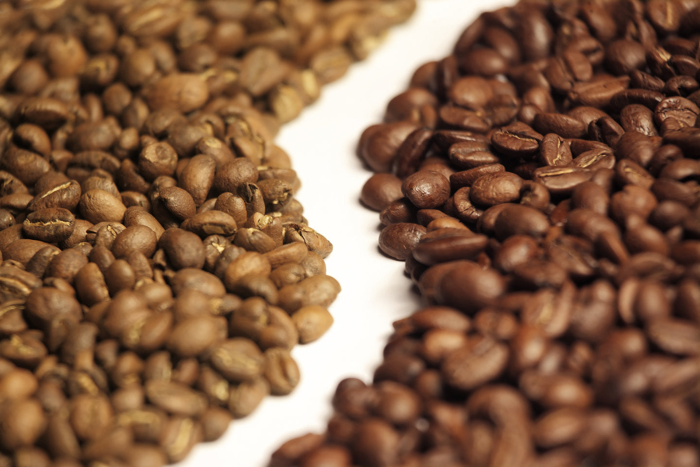 What’s the difference between Arabica and Robusta coffee beans?