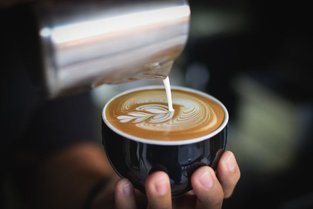 What is the best type of milk for coffee?