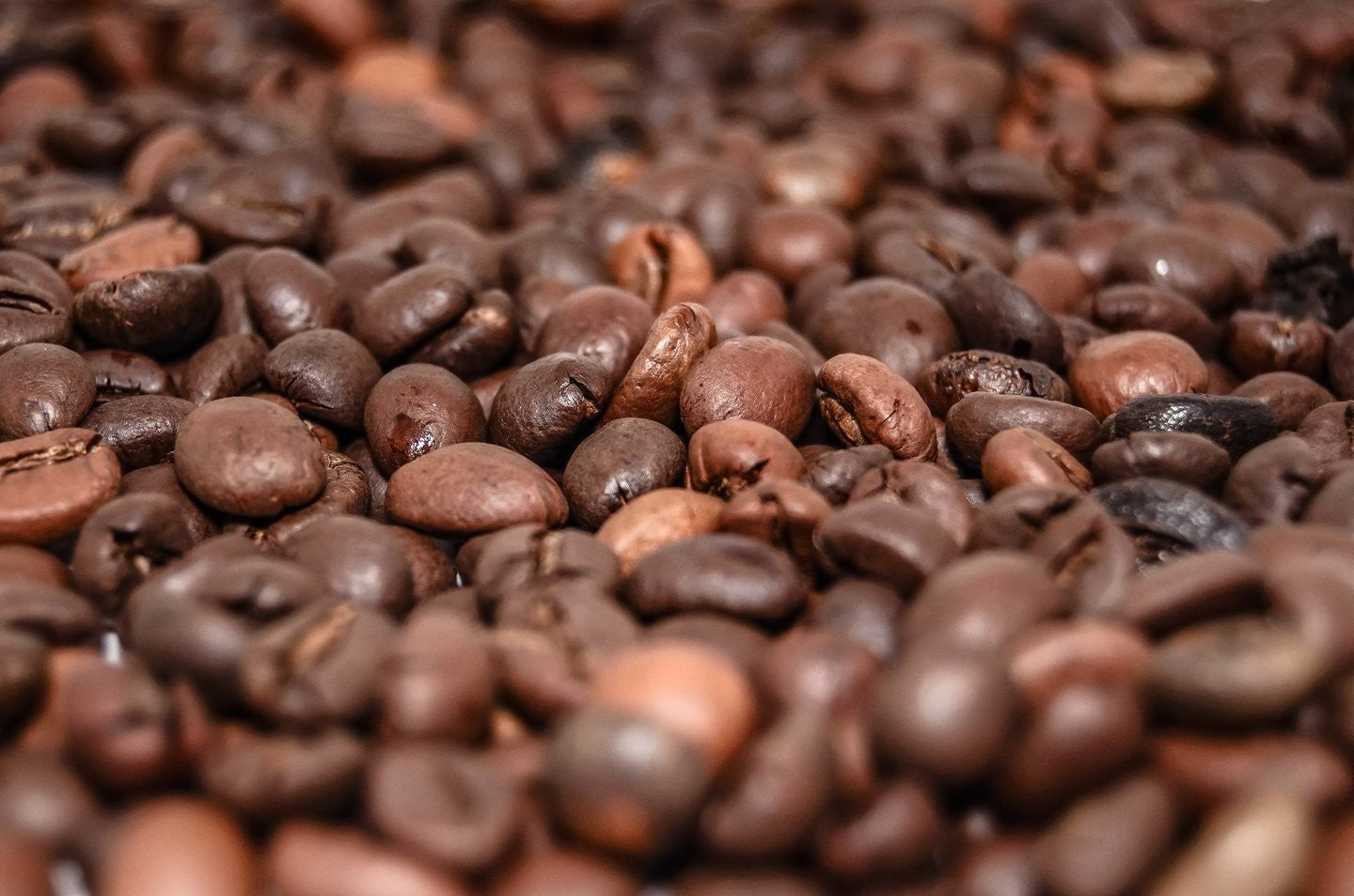 Coffee storage - Our top tips for keeping your beans fresh!