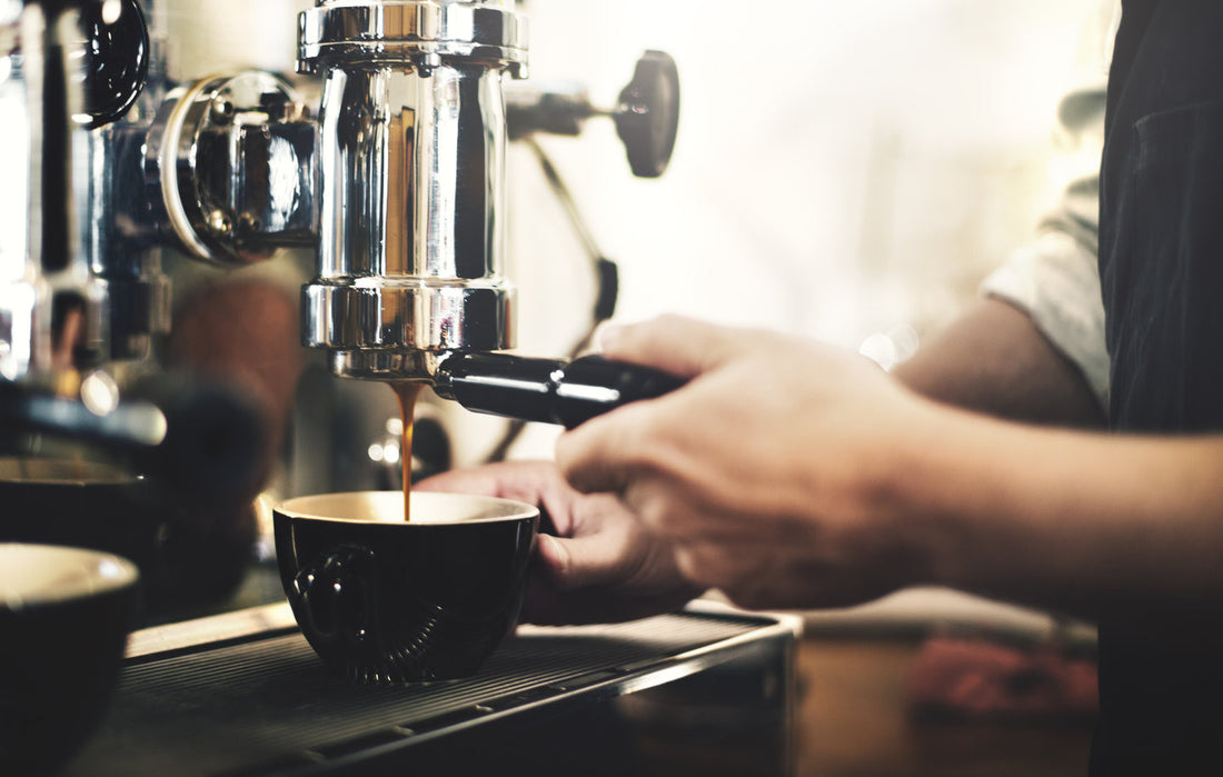 What are the best speciality coffee beans?