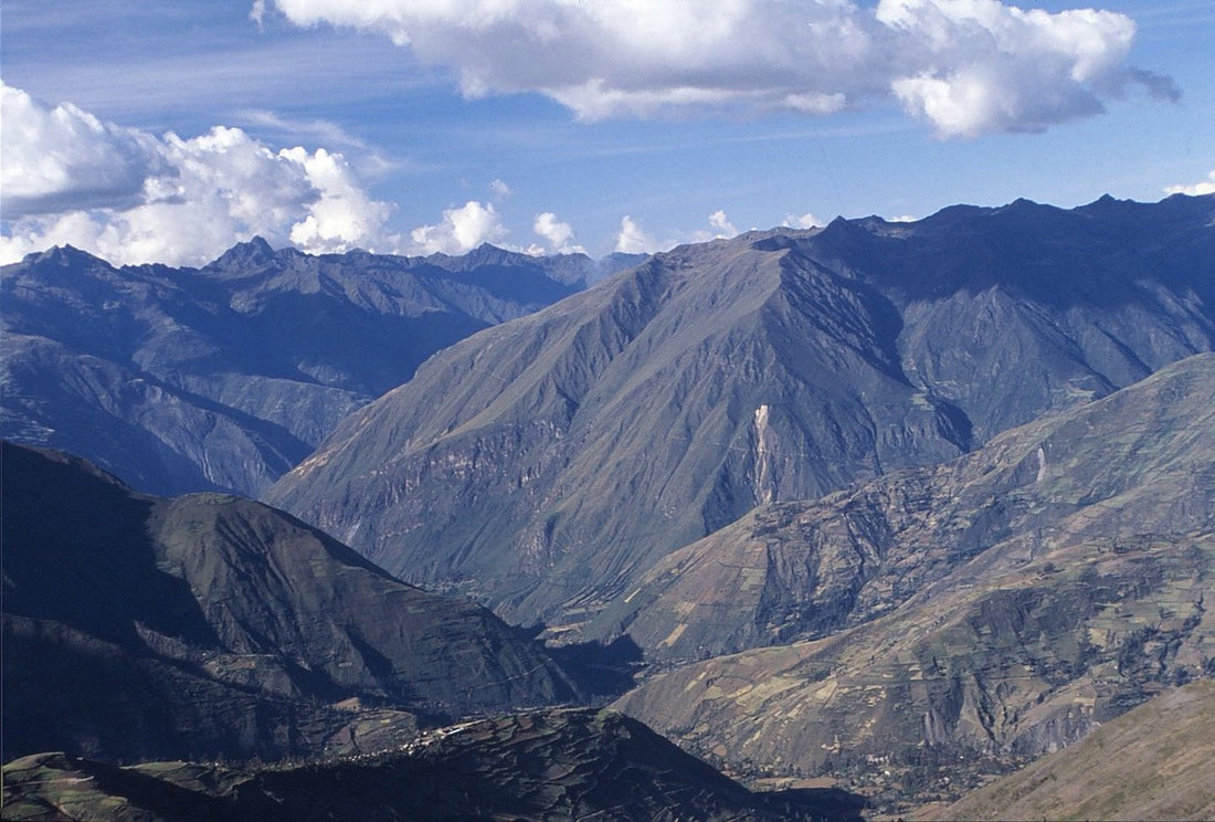 Here's why you should try Peruvian single origin coffee beans!