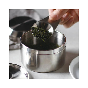 Kinto LT Tea Scoop - Stainless Steel Tea Measuring Scoop