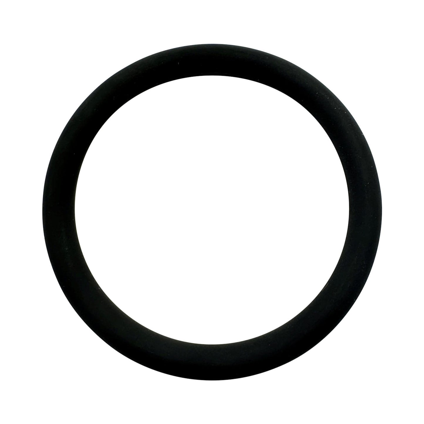 Iberital Element Gasket O-Ring Viton Replacement Part