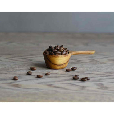 Kinto SCS 10 Gram Coffee Measuring Spoon
